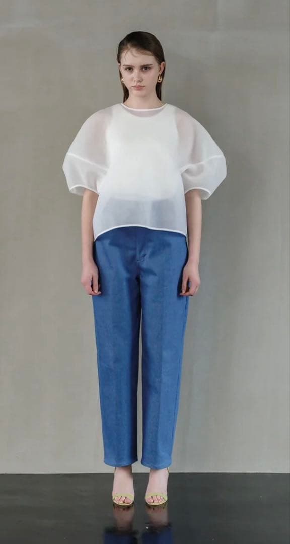 LIten Sheer Sculpture Tops リテン　シアーブラウス