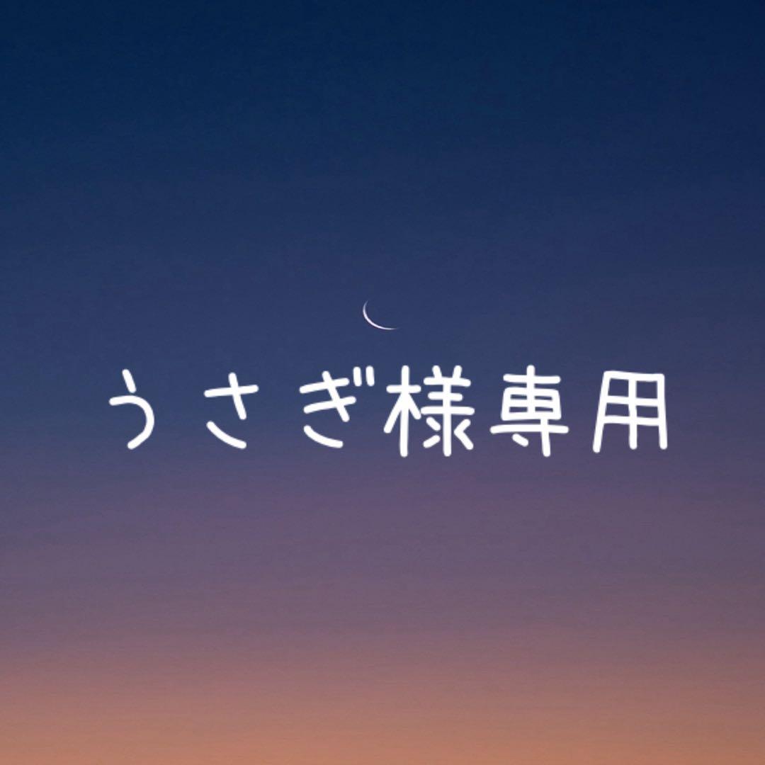 【うさぎ様】天然石ピアス・ペンダントトップ