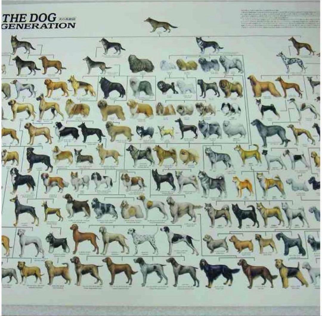 ポスター 犬の系統図 The Dog Generation B1サイズ