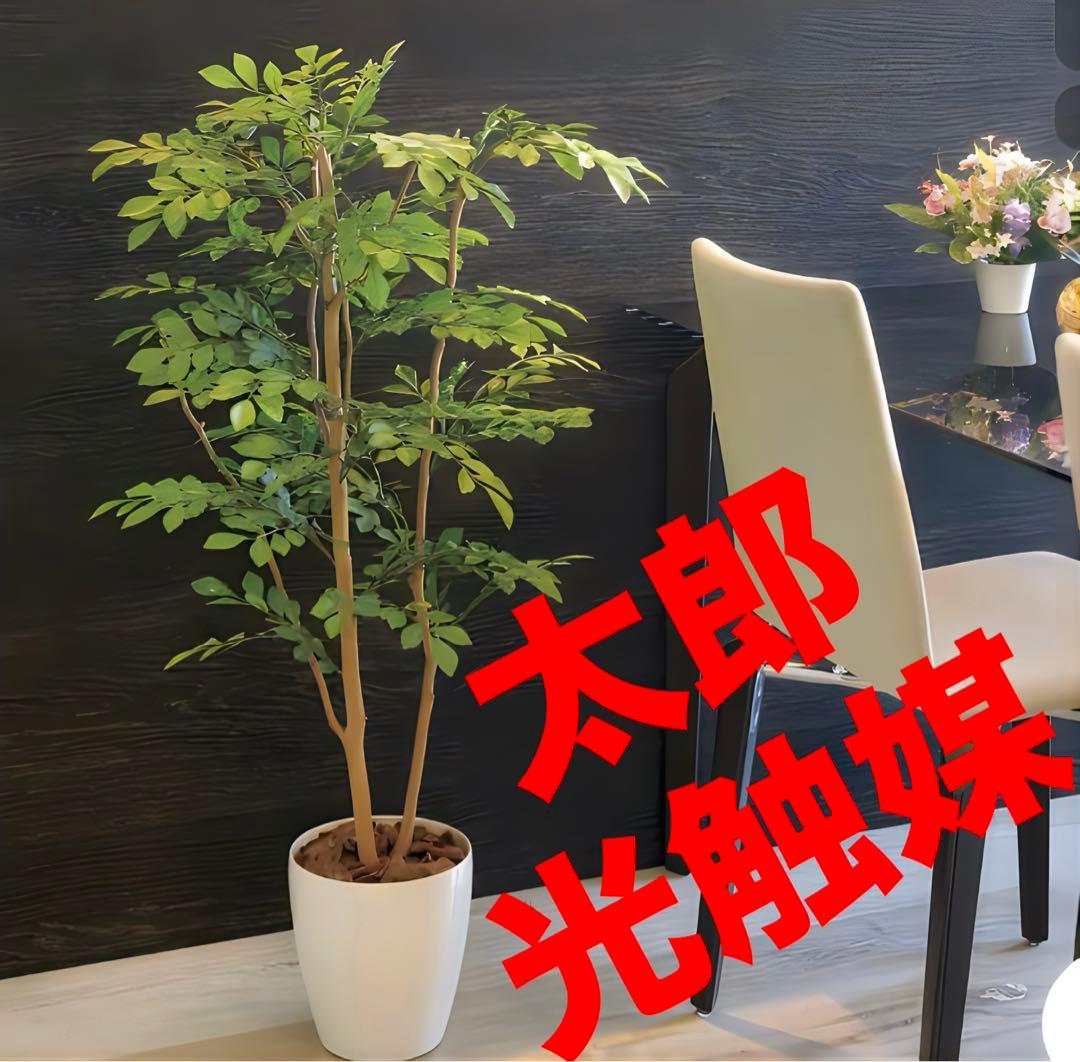 光触媒　人工観葉植物　ウォールグリーン　フェイクグリーン　ライトトネリコ1.0