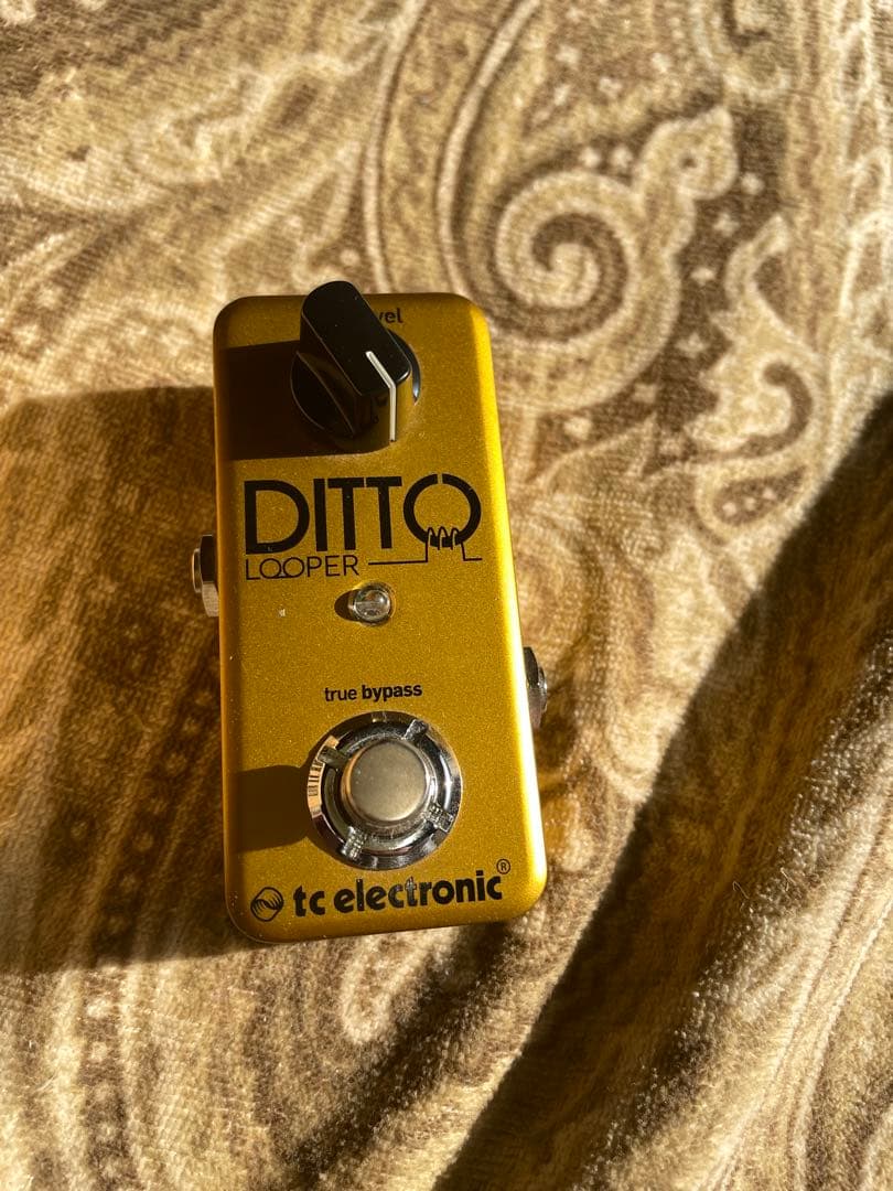ギター TC electronic Ditto Looper.Gold
