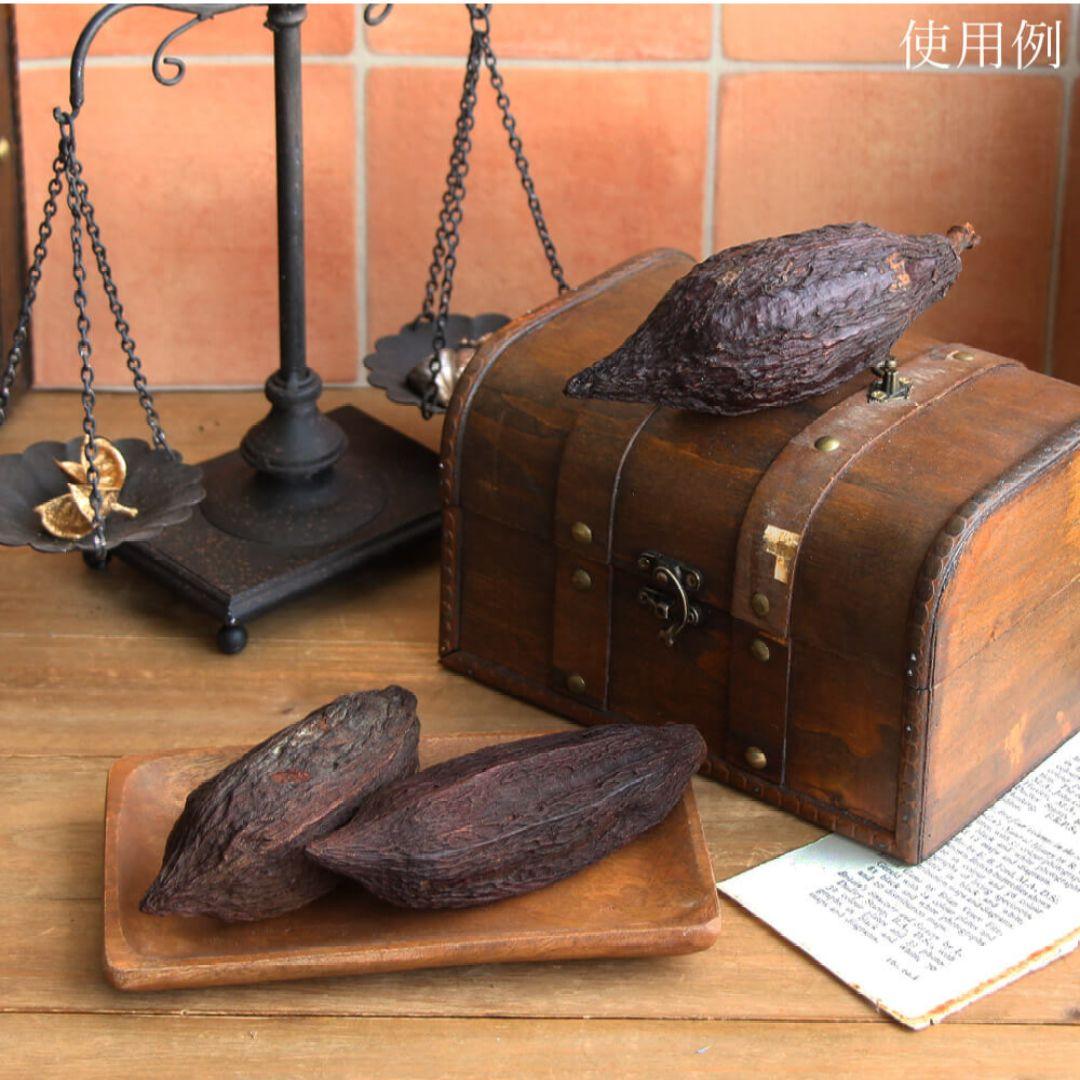 カカオホール 5個セットドライフラワー 花材 ナチュラル インテリア雑貨