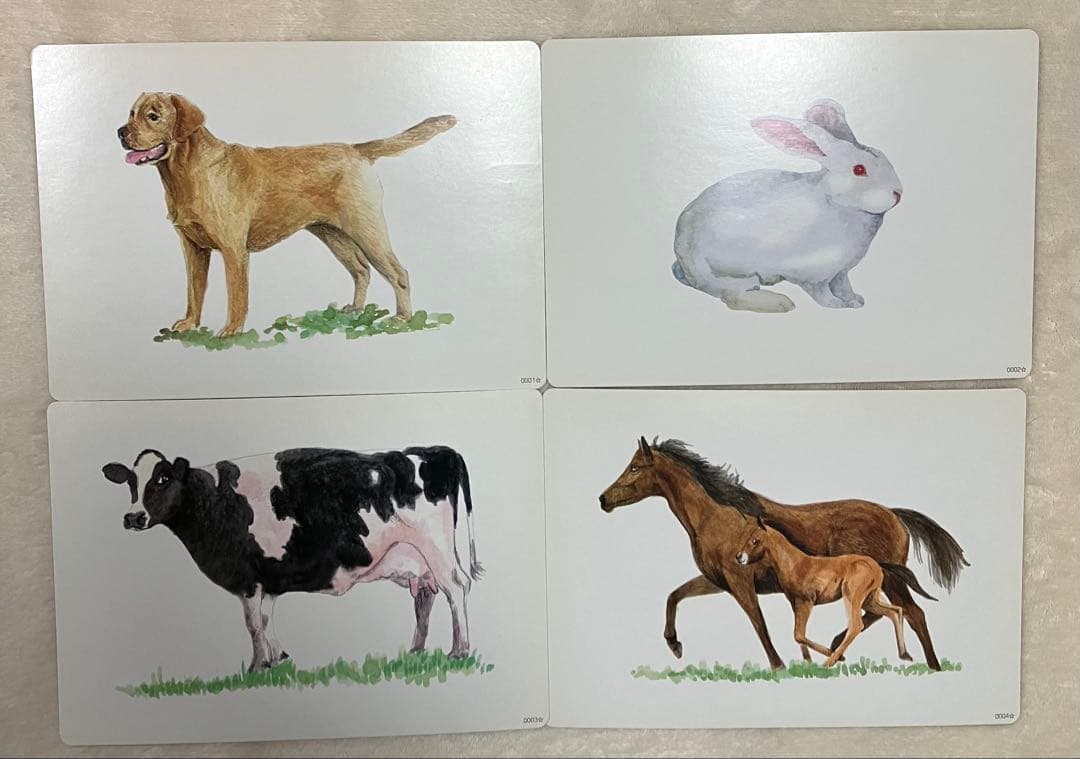 七田チャイルドアカデミー　かな絵ちゃん　単語と絵カード Aセット