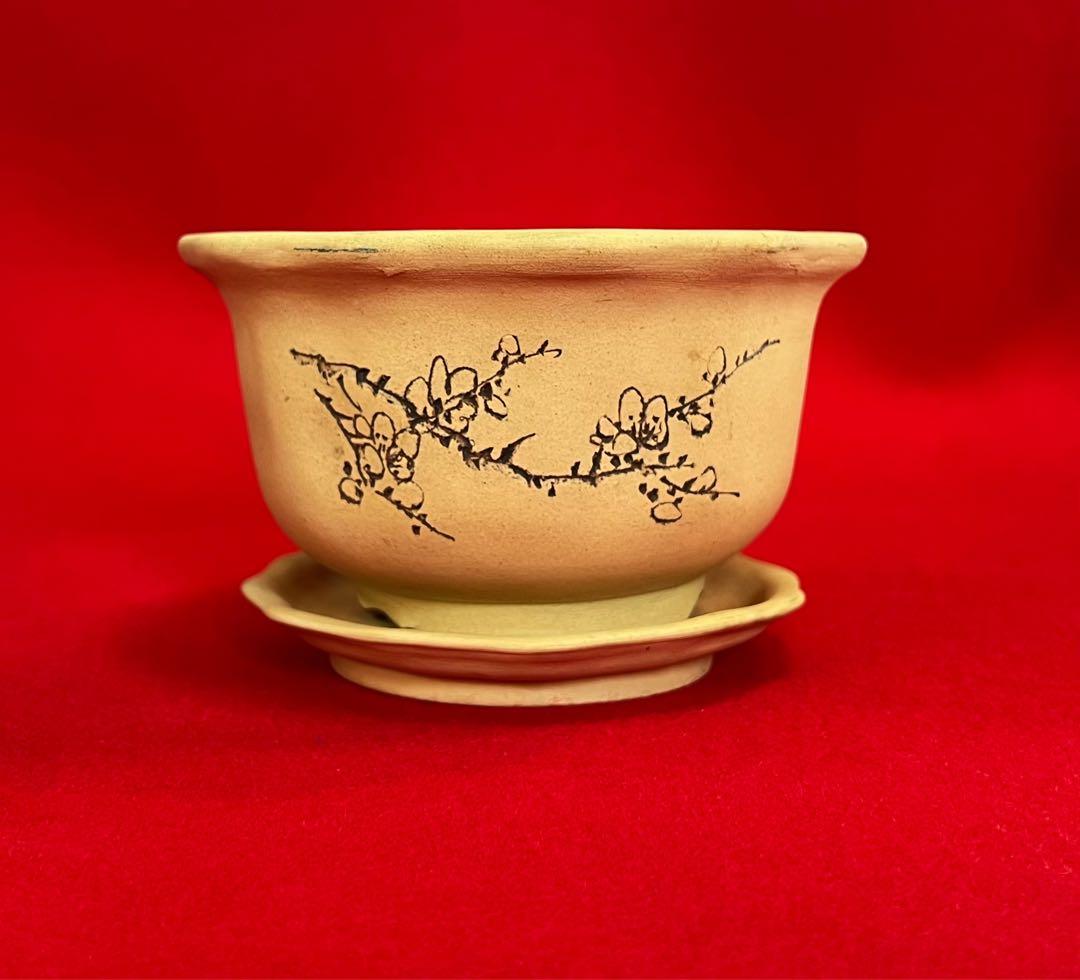 中国美術 梅紋樣 黄泥盆栽鉢 植木鉢 紅花怒放