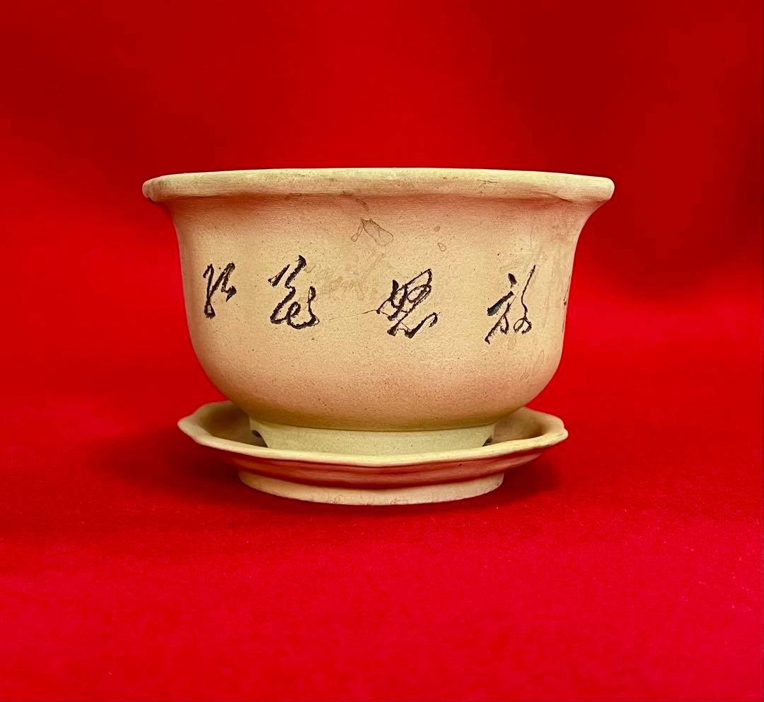 中国美術 梅紋樣 黄泥盆栽鉢 植木鉢 紅花怒放