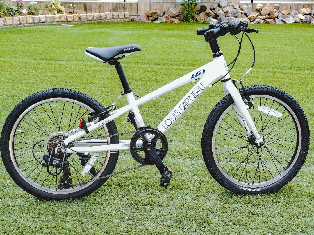 ルイガノ　J20【兵庫県　直接引渡し限定】