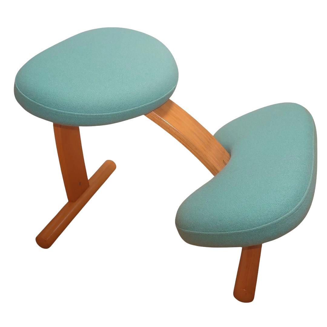 Rybo Balance Easy バランスイージー チェア　リボ社