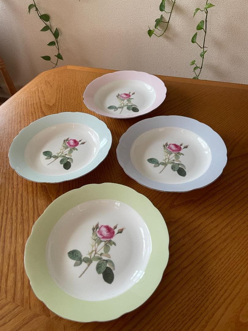 【新品未使用】STECHCOL　ステッチコール　深皿　エインズレイ　4枚　皿