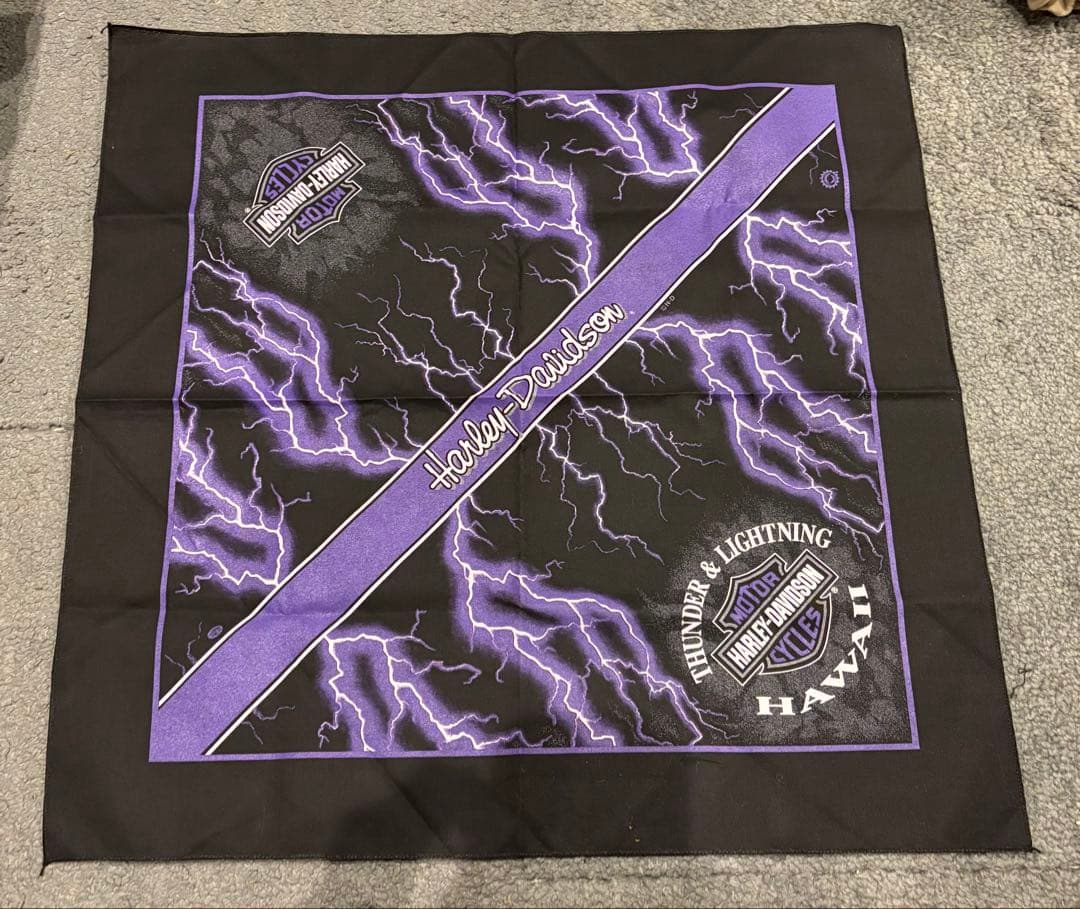 ハーレーダビットソン　バンダナ　ビンテージ　サンダー