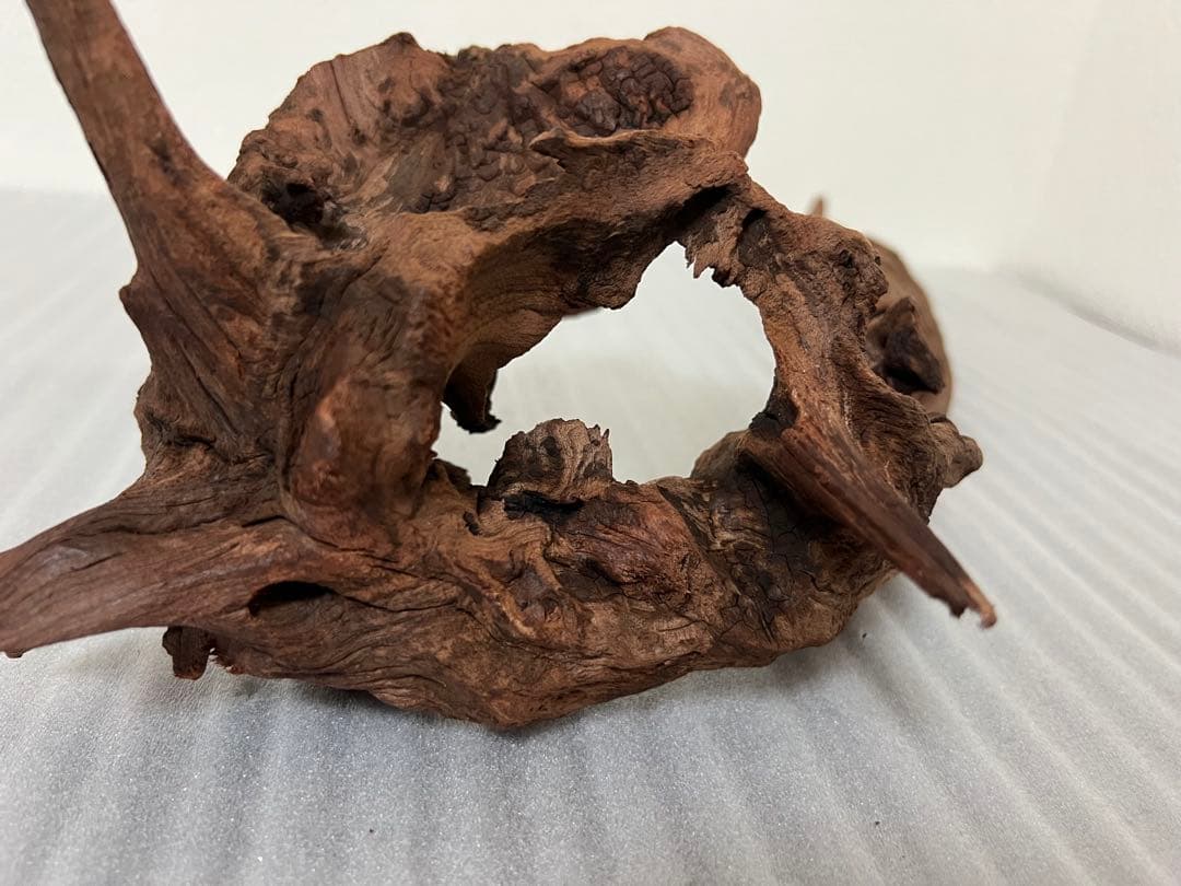 HX-097 流木　マシンガンウッド　ホーンウッド アクアリウム　ブランチウッド