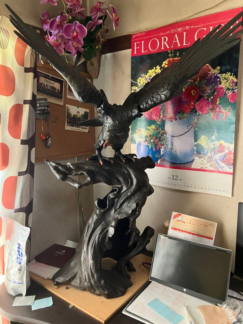 ワシの鳥元気でお金やってくる　強い廃棄できる