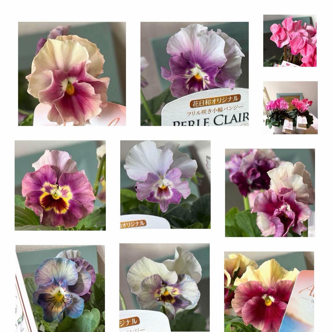 ✿Dom❤Mia✿プロフ必読✿様　リクエスト　おまとめ10点