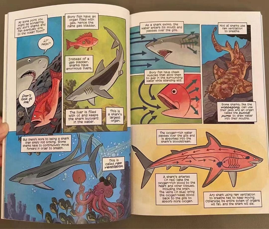 新品Science Comicsシリーズ29冊　洋書　英語絵本　漫画