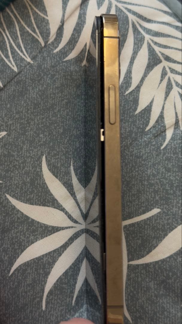 Luffy 　　iPhone12 pro 256GB ジャンク品