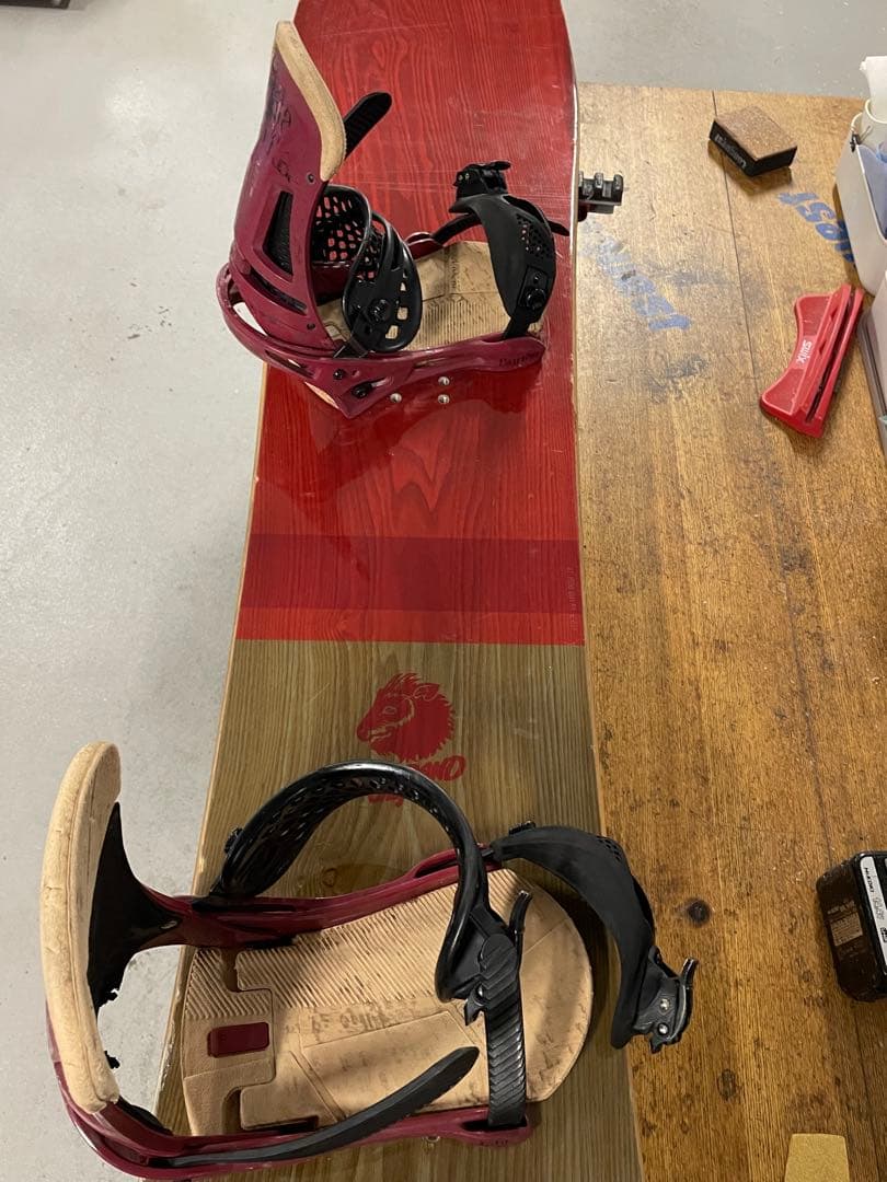 TJ brand ナポレオンフィッシュ