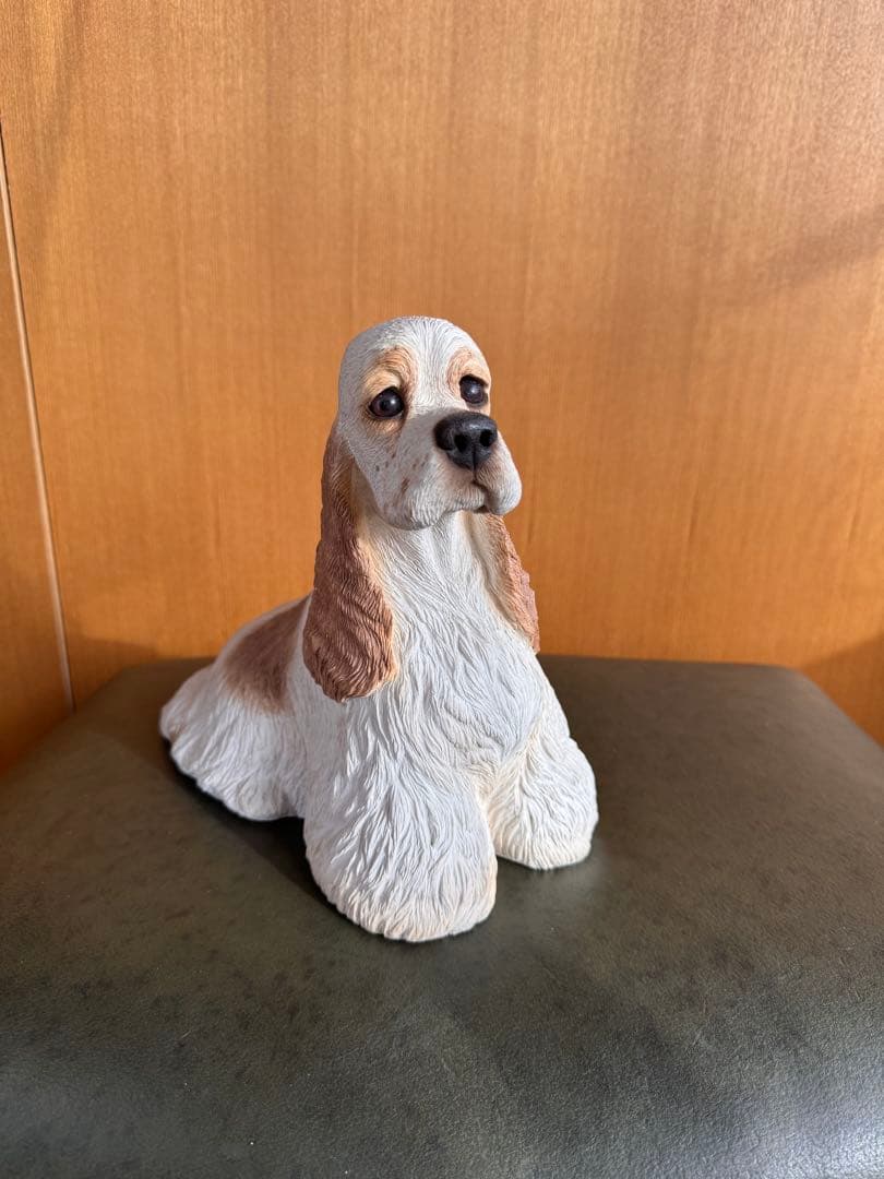 アメリカンコッカースパニエル　パーティ　サンディキャスト