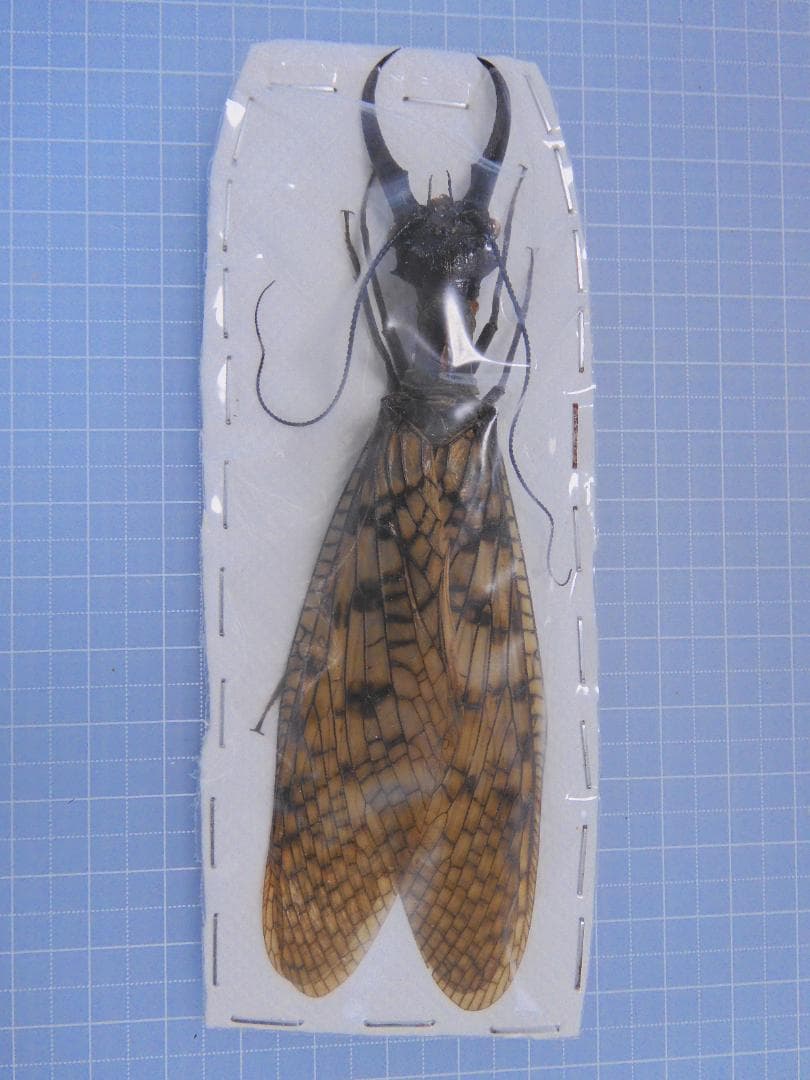 テオドシア様 リクエスト 3点 まとめ商品