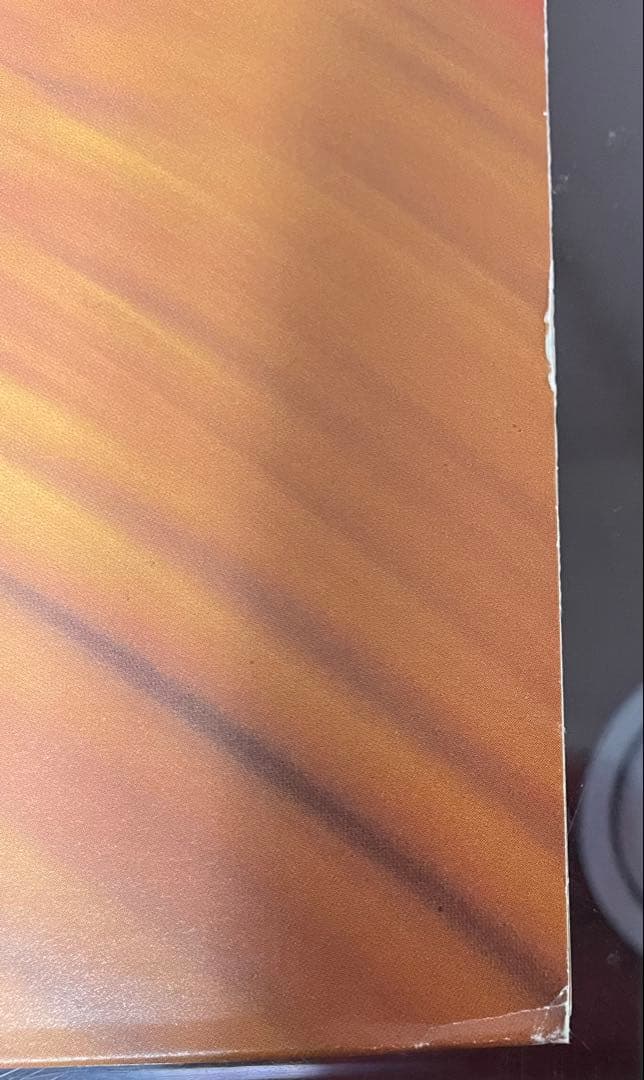 スピッツ　SPITZ 名前をつけてやる　オリジナル盤　レコード