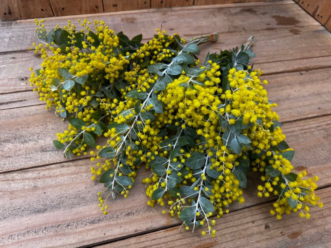 プロフ必読！お願いします様 リクエスト 3点 まとめ商品