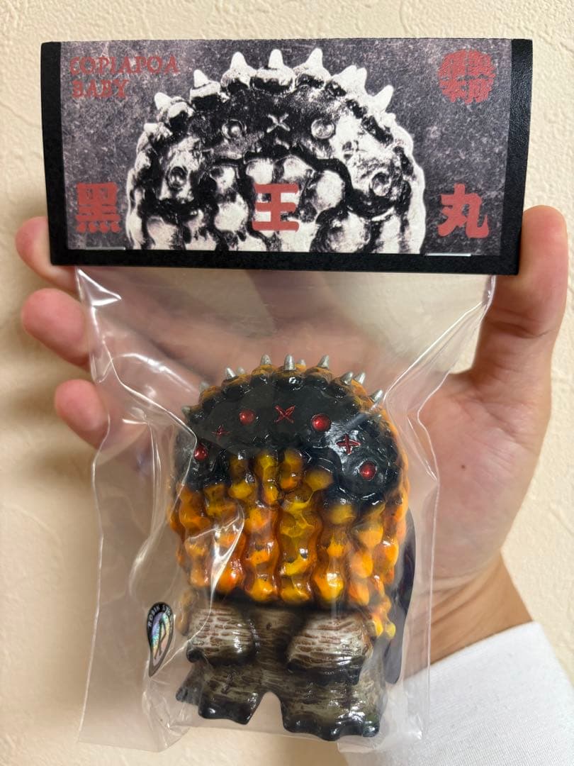 羅本製所 スーフェス ROBINCERAMICSTUDIO Copiapoa