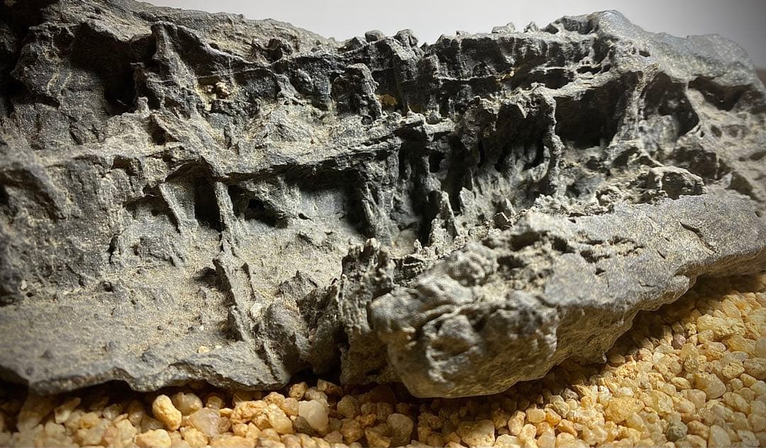 4222 佐治川石《希少》 水石 盆栽 盆石 置物 鑑賞石