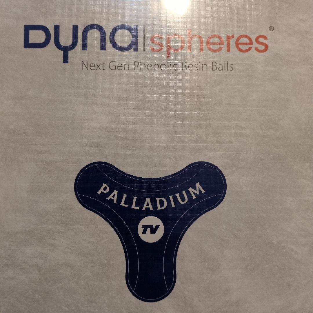 dynaspheres PALLADIUM TV ポケットビリヤードボール