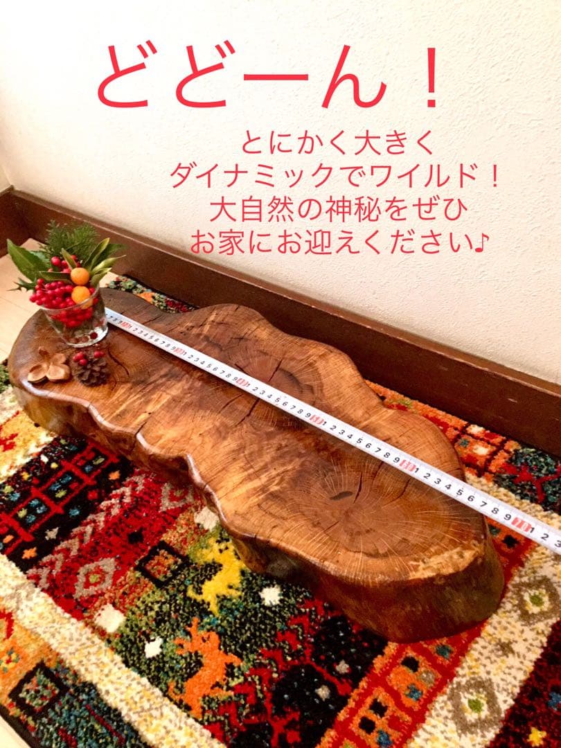 天然楢【神秘的な合体樹＊3本の木が一体化/森と大自然の切り株テーブル】ちゃぶ台