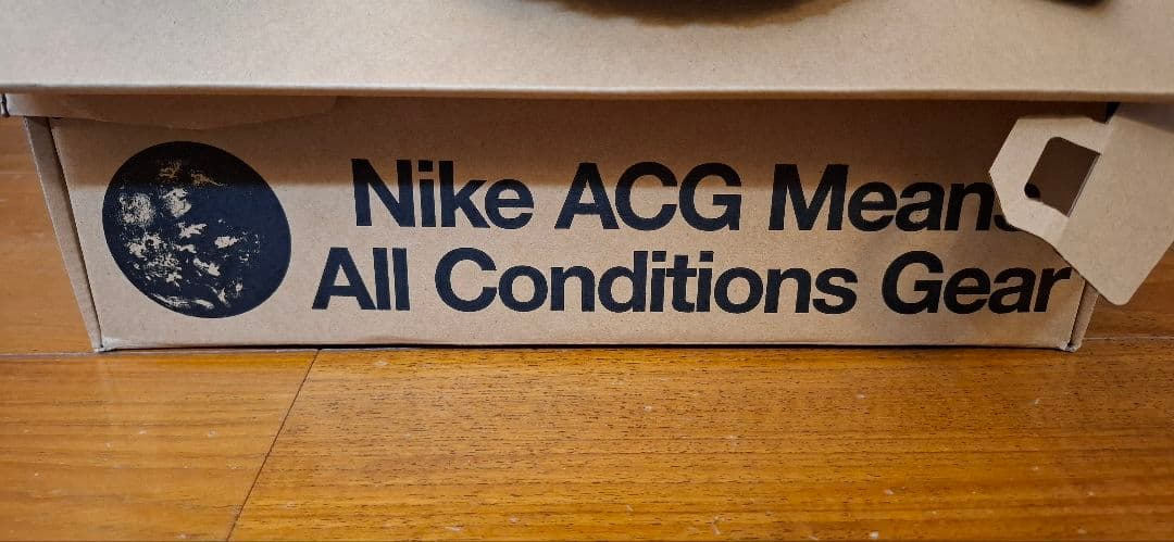 【極美品】Nike ACG マウンテンフライ2LOW 28㎝　正規品