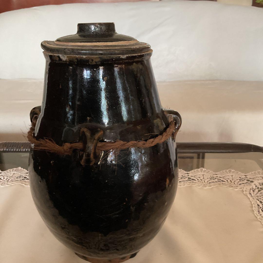 琉球油壺希少な蓋あり