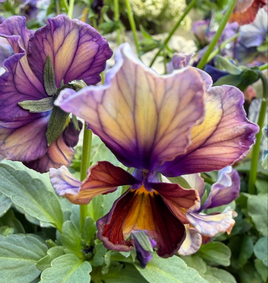 あっき様　13点