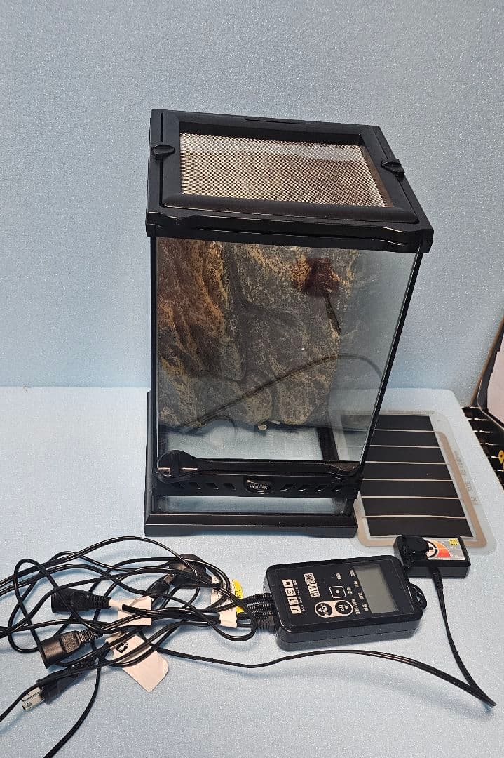 爬虫類飼育用品セット