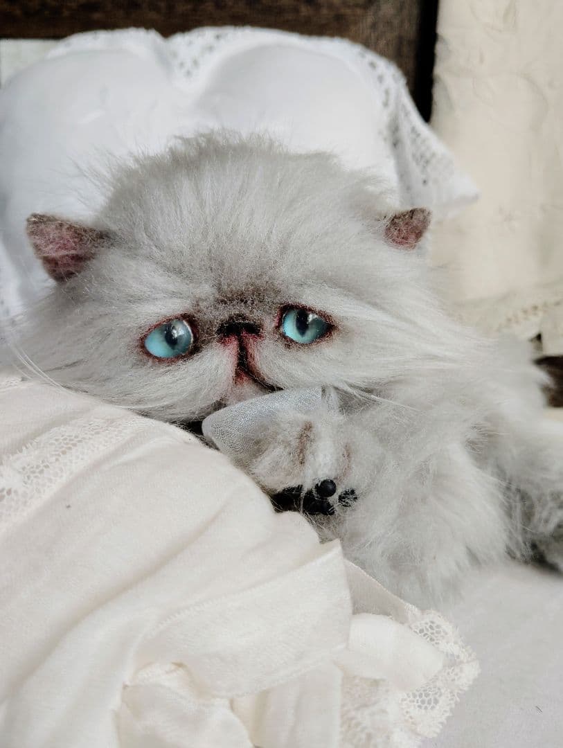 エキゾチックロングヘア♡子猫ちゃん♡アートドール♡ぬいぐるみ♡