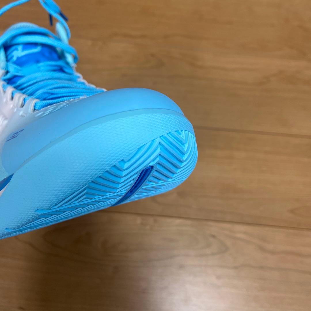 curry1 PRNT 28cm バッシュ