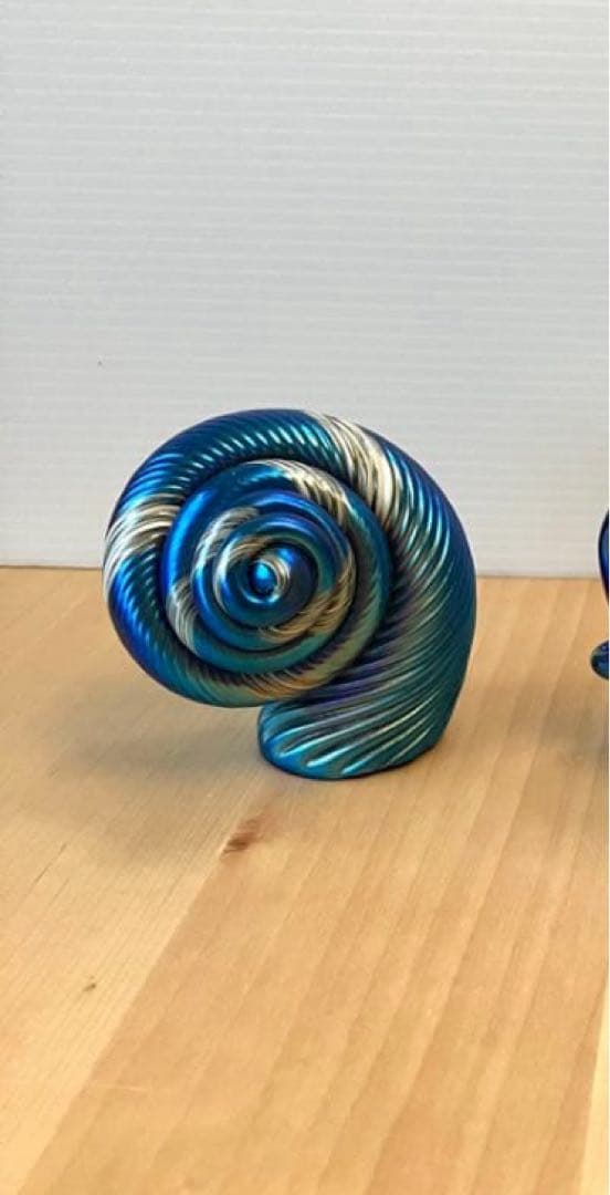 Alan Fox WA アランフォックス　貝