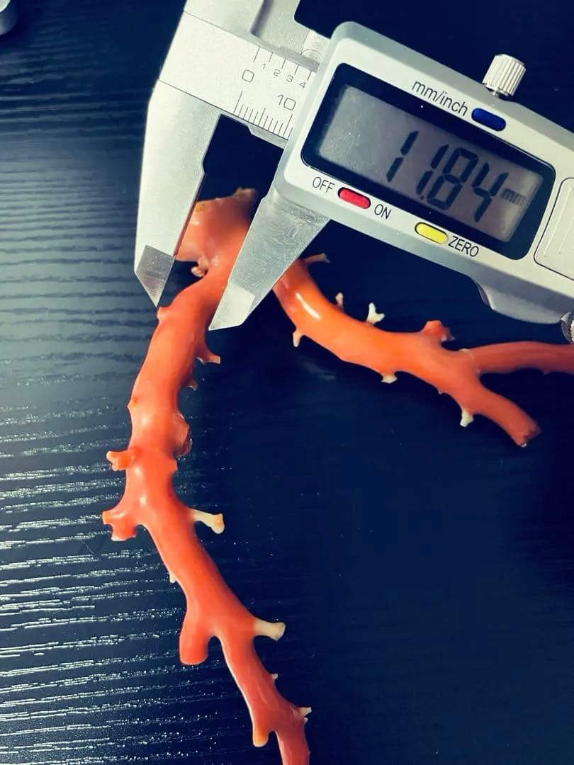 本珊瑚　珊瑚原木　宝石珊瑚　置物　桃珊瑚　赤珊瑚　コーラル　ルース　研磨済