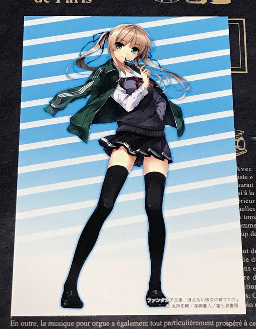 冴えない彼女の育てかた 全巻 セット 全巻 初版 帯付き 20冊 冴えカノ