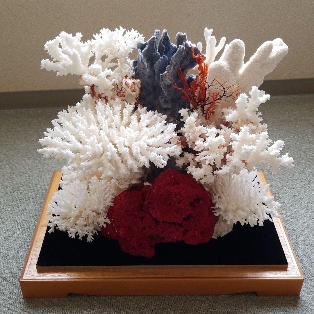 珊瑚置物