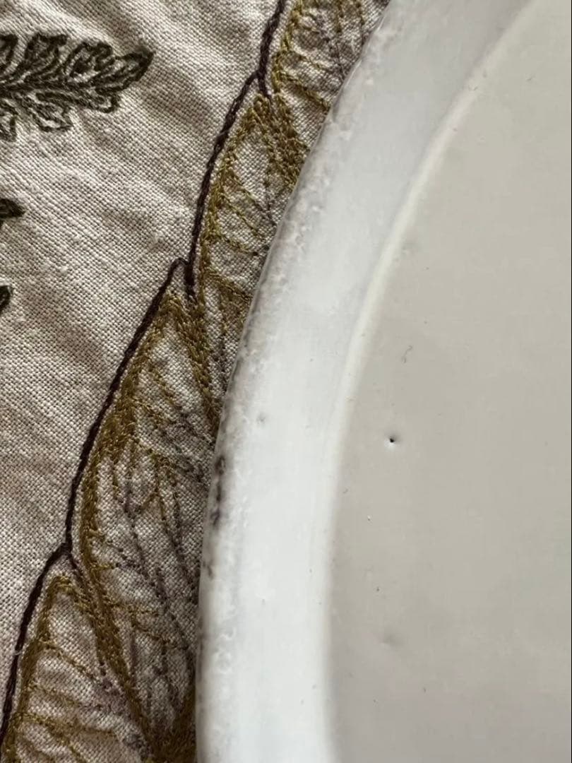 ASTIER de VILLATTEアスティエ Zeroラージプラッター28cm