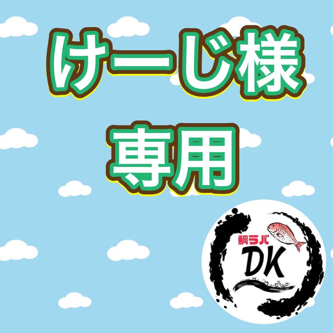 45g、60g、80g、100g各2個 プレーン　専用出品