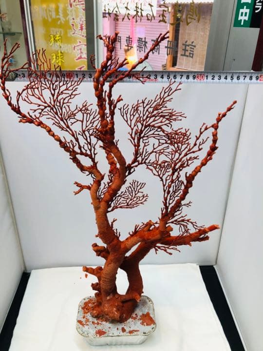 天然アップル珊瑚　置物