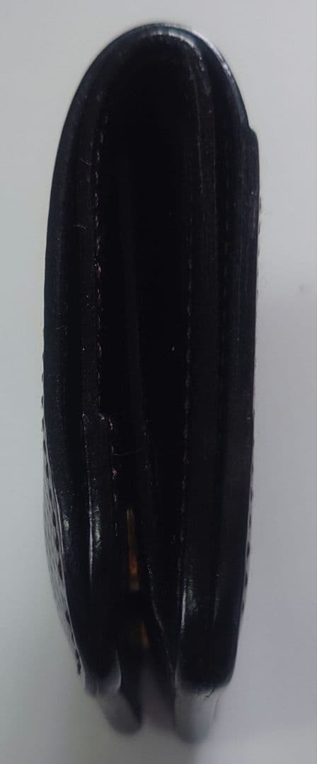 WILDSWANS 銀座店11周年・型押しシェルコードバン ブラック パーム