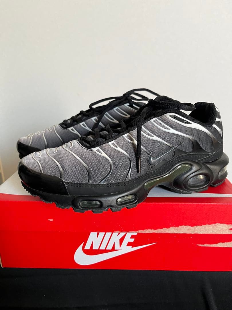 ナイキ　エアマックスプラスtn