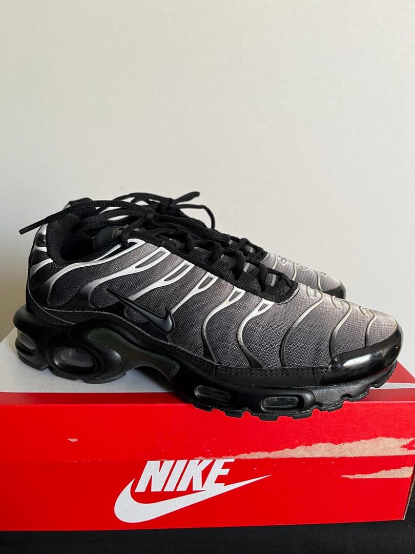 ナイキ　エアマックスプラスtn