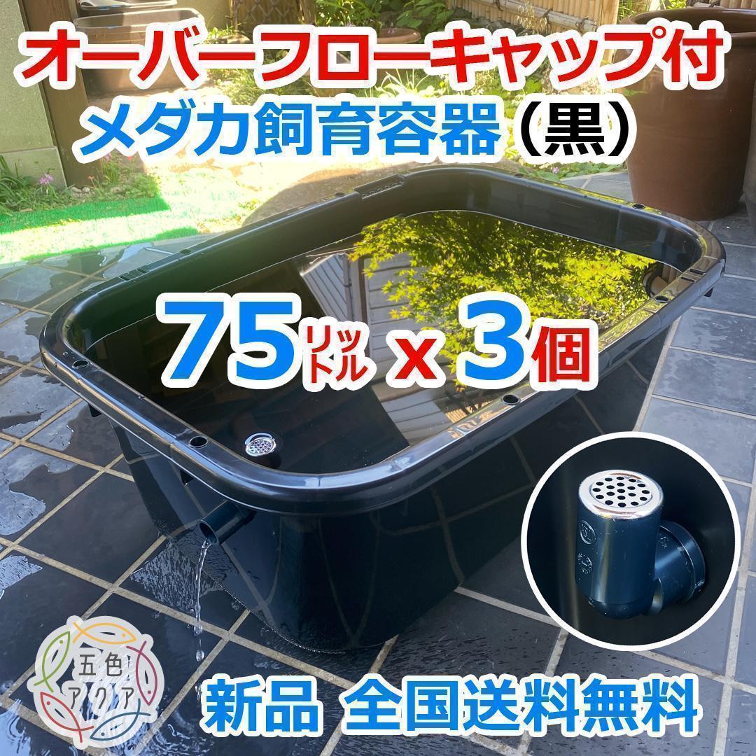 【新仕様】メダカ飼育ケース 75㍑黒x3個 オーバーフロー加工済 金魚飼育容器