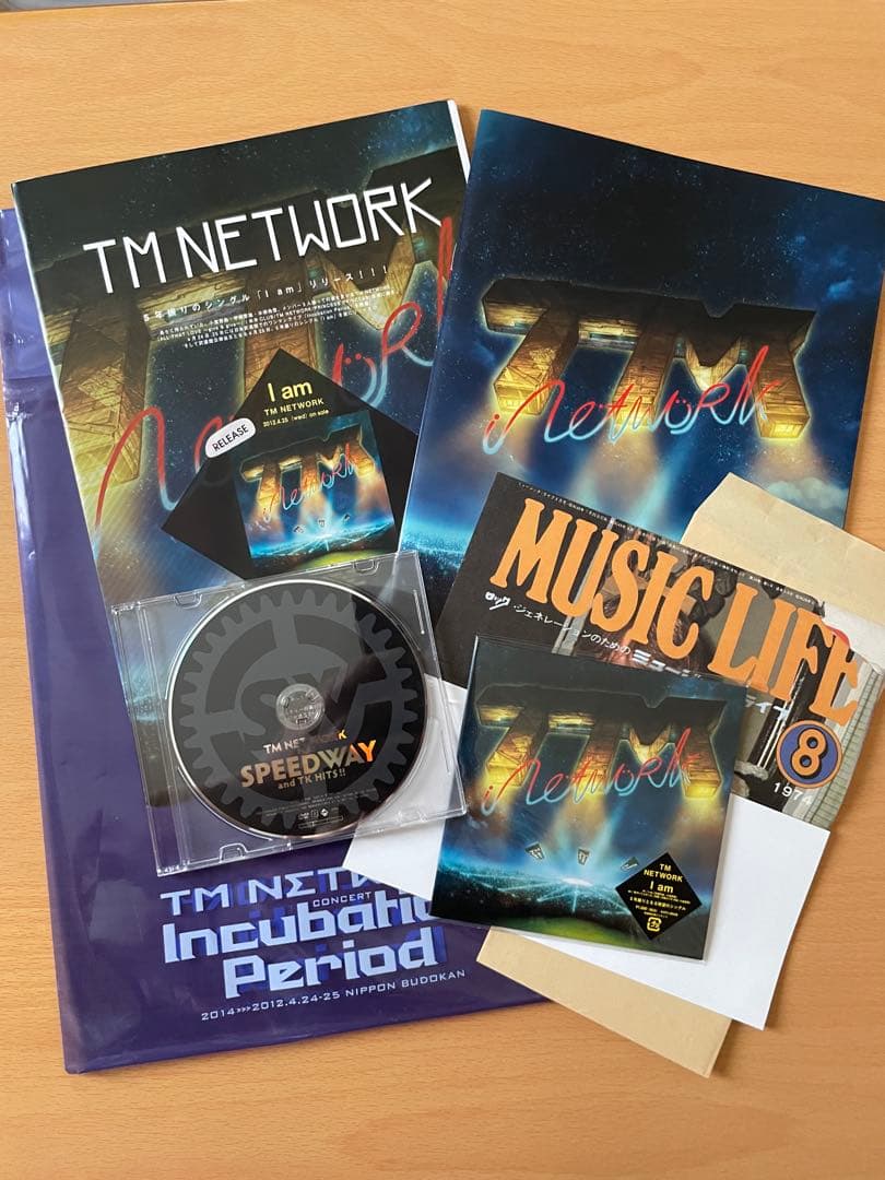 TM NETWORK Incubation Period パンフCD DVD