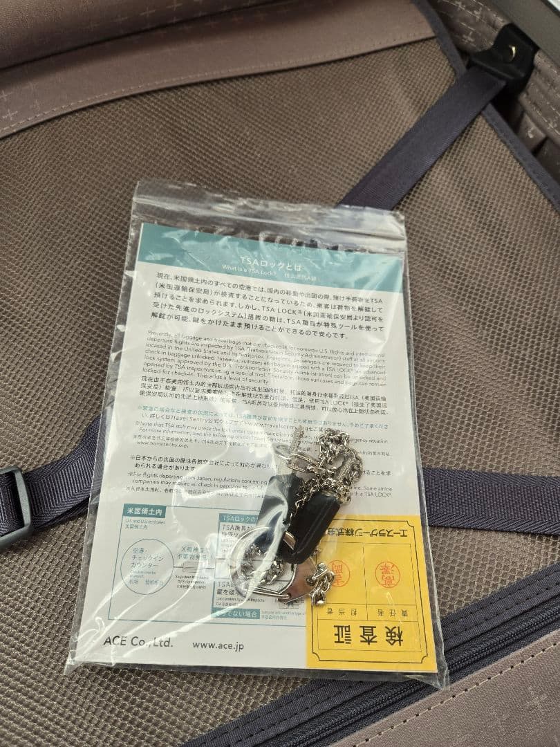 エース　プロテカ　スーツケース　エキノックスライト　82L　キャリーケース