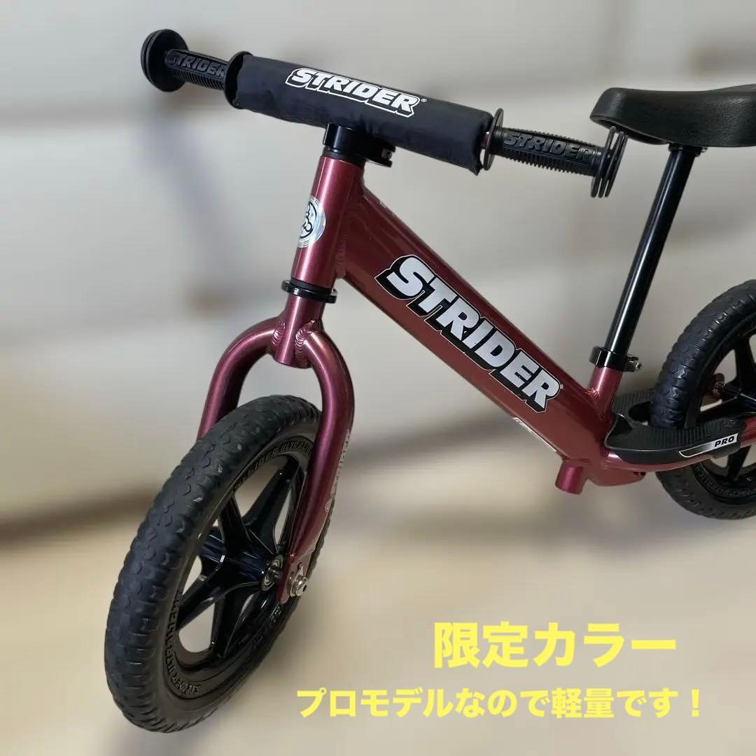 STRIDER 【プロモデル】【限定カラー】