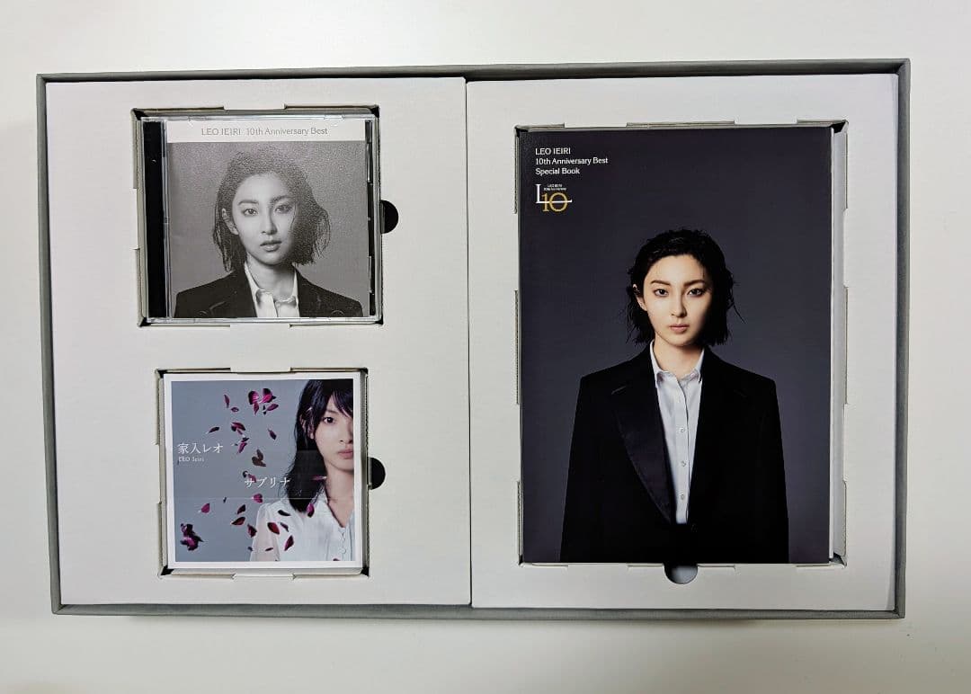 家入レオ コレクション CD 10 枚セット サインカード付
