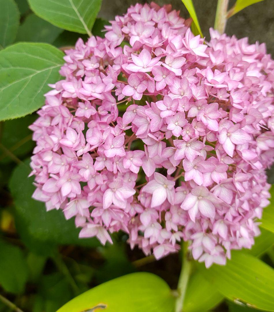 十三郎☆彡☘️ページ•*¨*•.¸♬︎