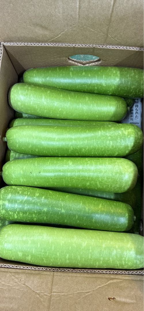 新鮮なユウガオ9キロとナス10キロ